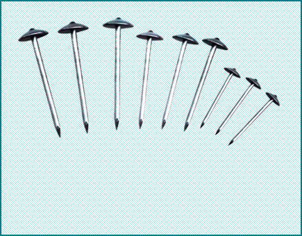 BOOFING NAIL WITH UMBRELLA HEAD