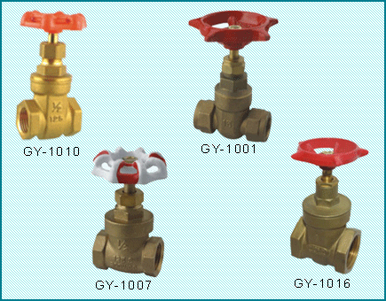 GY-1007